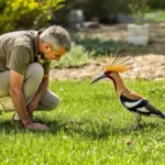 Featured image placeholder 16:9