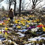 Featured image placeholder 16:9