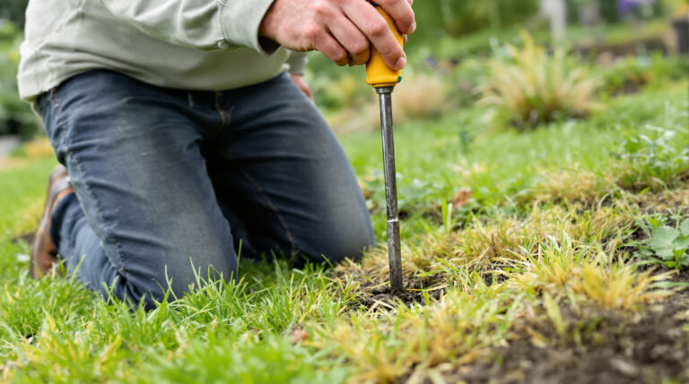 Nedovolte, aby váš trávník trpěl: tento jednoduchý test vám řekne, zda potřebuje provzdušnit, aby znovu získal pružnost a zdraví.