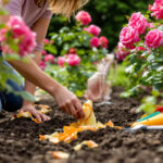 Featured image placeholder 16:9